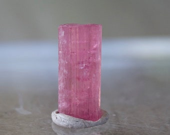 May include: A pink, translucent, elongated crystal with striations on its surface. The crystal is mounted on a gray base.