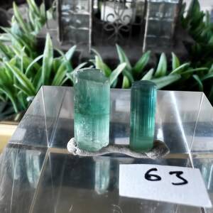 May include: Two green crystals on a white display stand with a white label that says "63".