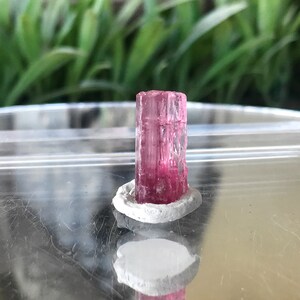 May include: A pink tourmaline crystal with a clear, glassy appearance. The crystal is mounted on a white base.