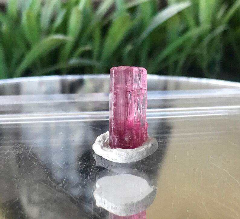 May include: A pink tourmaline crystal with a clear, glassy appearance. The crystal is mounted on a white base.
