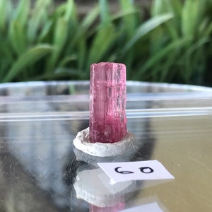 May include: A pink tourmaline crystal specimen on a white base. The crystal is translucent and has a striated surface. The crystal is approximately 1 inch in length.