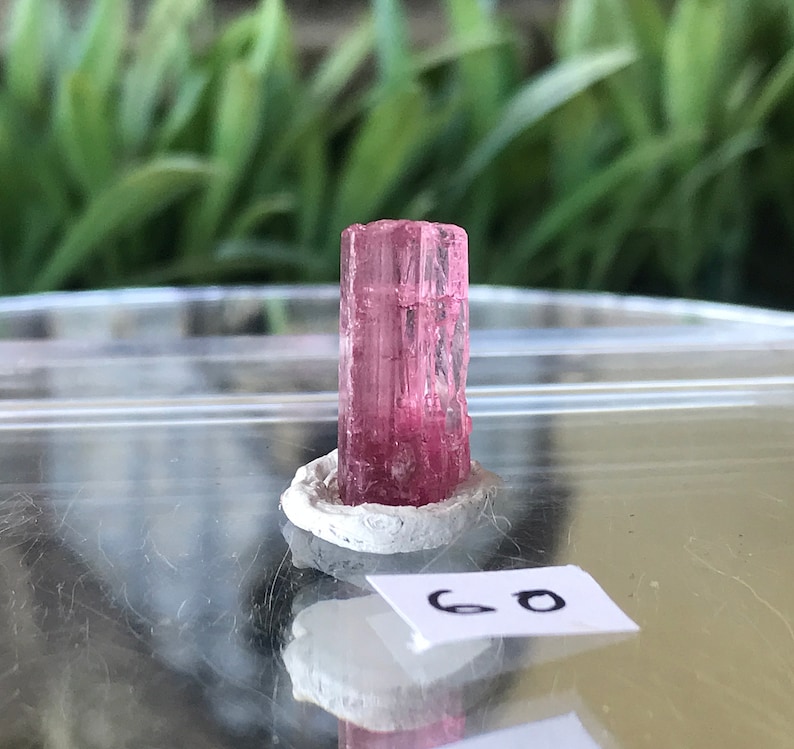 May include: A pink tourmaline crystal specimen on a white base. The crystal is translucent and has a striated surface. The crystal is approximately 1 inch in length.
