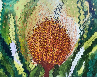 Golden Crown Banksia