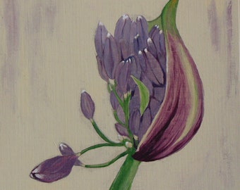 Agapanthus Opening (painting)