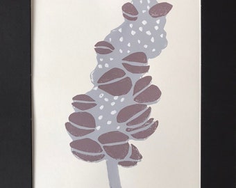 Jo's Banksia
