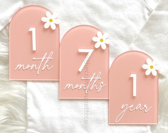 Daisy Acrylic Milestone Set, Monthly Milestone Set, Acrylic Milestone Discs, Baby Milestone Cards, Monthly Photo Props, Daisy Milestones