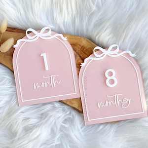 Jalons acryliques avec noeud, Ensemble d'étapes importantes du mois, Disques acryliques d'étape importante, Cartes bébé jalon, Accessoires photo mensuels, Jalons étape croquette