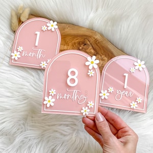 Ensemble d'étapes importantes en acrylique Daisy, Ensemble d'étapes importantes du mois, Disques d'étapes floraux en acrylique, Cartes d'étapes pour bébés, Accessoires photo mensuels Daisy