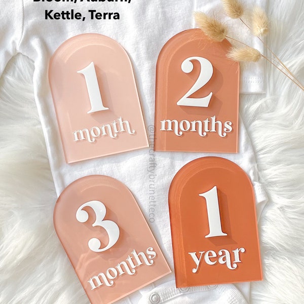 Interchangeable Monthly Acrylic Milestones, Monthly Milestone Discs, Arch Acrylic Milestone Discs, Monthly Milestone, Monthly Photo Props