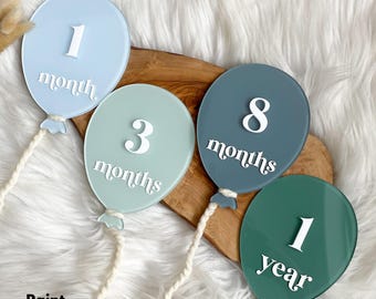Balloon Acrylic Milestone Set, Monthly Milestone Set, Acrylic Milestone Discs, Baby Milestone Cards, Monthly Photo Props, Balloon Milestones