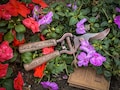 Personalised Engraved Copper Plated Pruner. Your message laser engraved in the handle valentines gift for gardeners