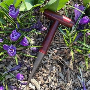 May include: A close-up of a gardening tool with a dark brown wooden handle and a black metal tip. The tool is lying on a bed of brown mulch and surrounded by purple crocuses.