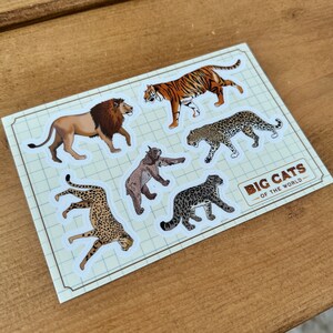 以下が含まれることがあります： 世界の大型ネコ科動物をモチーフにした6枚のステッカーセット。ステッカーは、グリッドパターンが印刷された白い紙に印刷されており、白い縁取りがあります。ステッカーには、ライオン、トラ、ヒョウ、チーター、オオヤマネコ、ユキヒョウが描かれています。ステッカーには「Big Cats of the World」とラベルが貼られています。