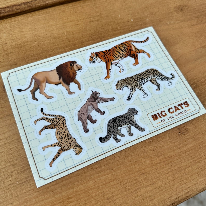 以下が含まれることがあります： 世界の大型ネコ科動物をモチーフにした6枚のステッカーセット。ステッカーは、グリッドパターンが印刷された白い紙に印刷されており、白い縁取りがあります。ステッカーには、ライオン、トラ、ヒョウ、チーター、オオヤマネコ、ユキヒョウが描かれています。ステッカーには「Big Cats of the World」とラベルが貼られています。