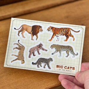 Big Cats Sticker Sheet