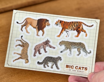 Stickervel grote katten | Waterdicht vinyl A6 wildlife-stickers (leeuw, tijger, cheetah)