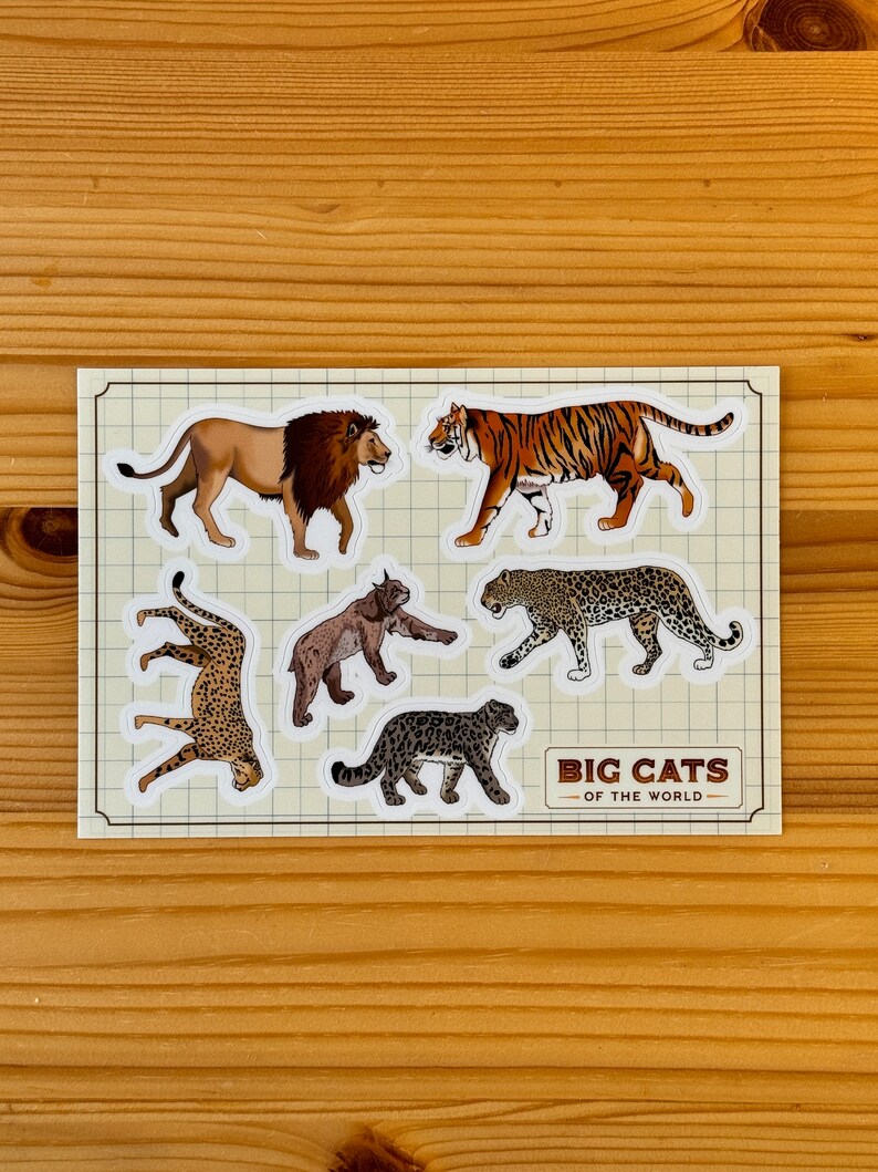 以下が含まれることがあります： 世界中の様々な大型ネコ科の動物を描いた6枚のステッカーセット。ステッカーは、グリッドパターンが描かれた白い背景に貼られています。ステッカーには、ライオン、トラ、ヒョウ、チーター、オオヤマネコ、ユキヒョウが描かれています。ステッカーはすべてカラーで、リアルなスタイルです。シートの下部には「BIG CATS - OF THE WORLD」というテキストが印刷されています。
