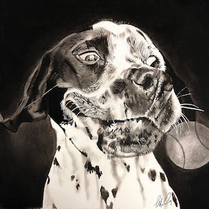English pointer | English pointer dog | English pointer being silly | dog portrait | dog pencil drawing | charcoal drawing | dog artwork
