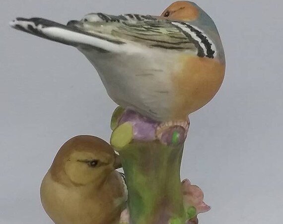 Vintage Royal Worcester Chaffinches, English Bone China Birds