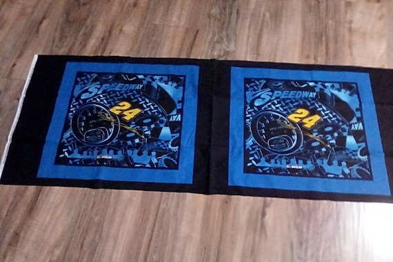 NASCAR Cotton Fabric Panel, Jeff Gordon Racing Theme Material, Double Sewing Pillow Panel, NASCAR Fans