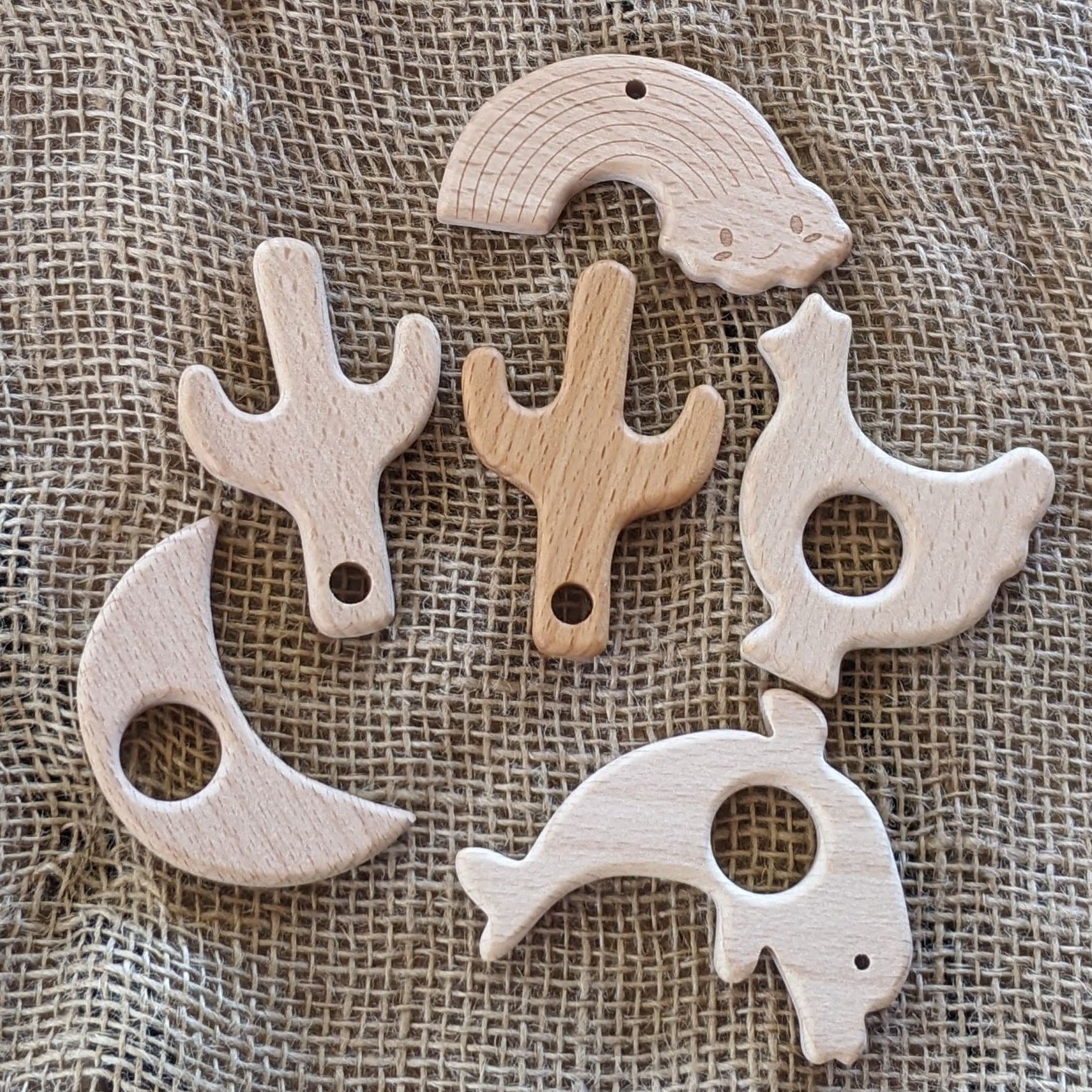 Kaktus beiring - Etsy.de