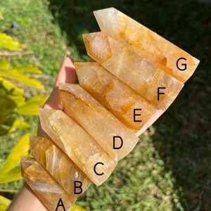 May include: Seven golden citrine crystal points, labelled A to G, are stacked on top of each other in a hand. The points are translucent and have a light yellow colour.