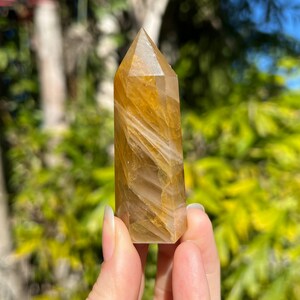 May include: A golden citrine crystal point with a swirling, translucent pattern. The crystal is held in a hand against a blurred background of green foliage.