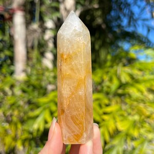 May include: A clear quartz crystal point with a golden yellow hue. The crystal is faceted and has a pointed tip. It is held in a hand against a blurred background of green foliage.
