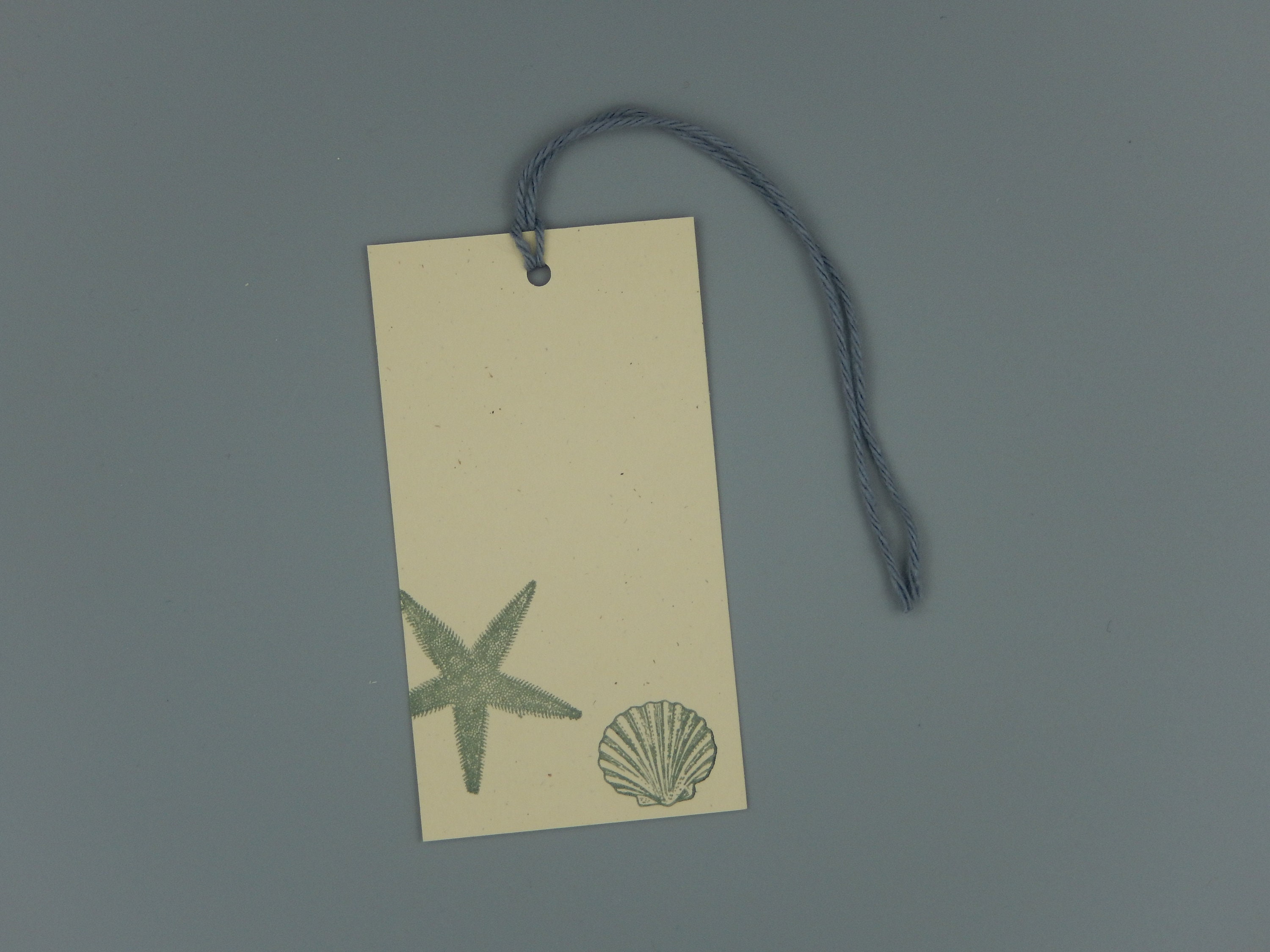 Seashell Hang Tags / Set of 12 / Letterpress Printed - Etsy