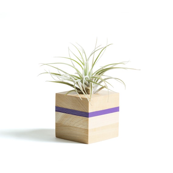 Air Plant Holder Purple Planter House Plants Cute Desk Etsy