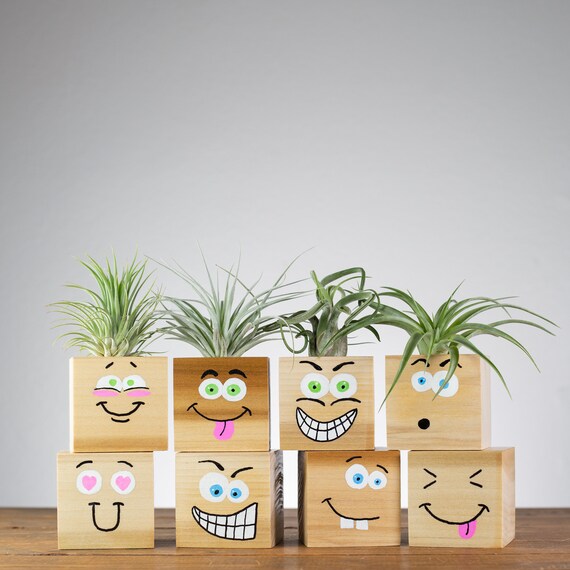 Funny Face Air Plant Holders Cute Plant Gifts Coworker Gift | Etsy