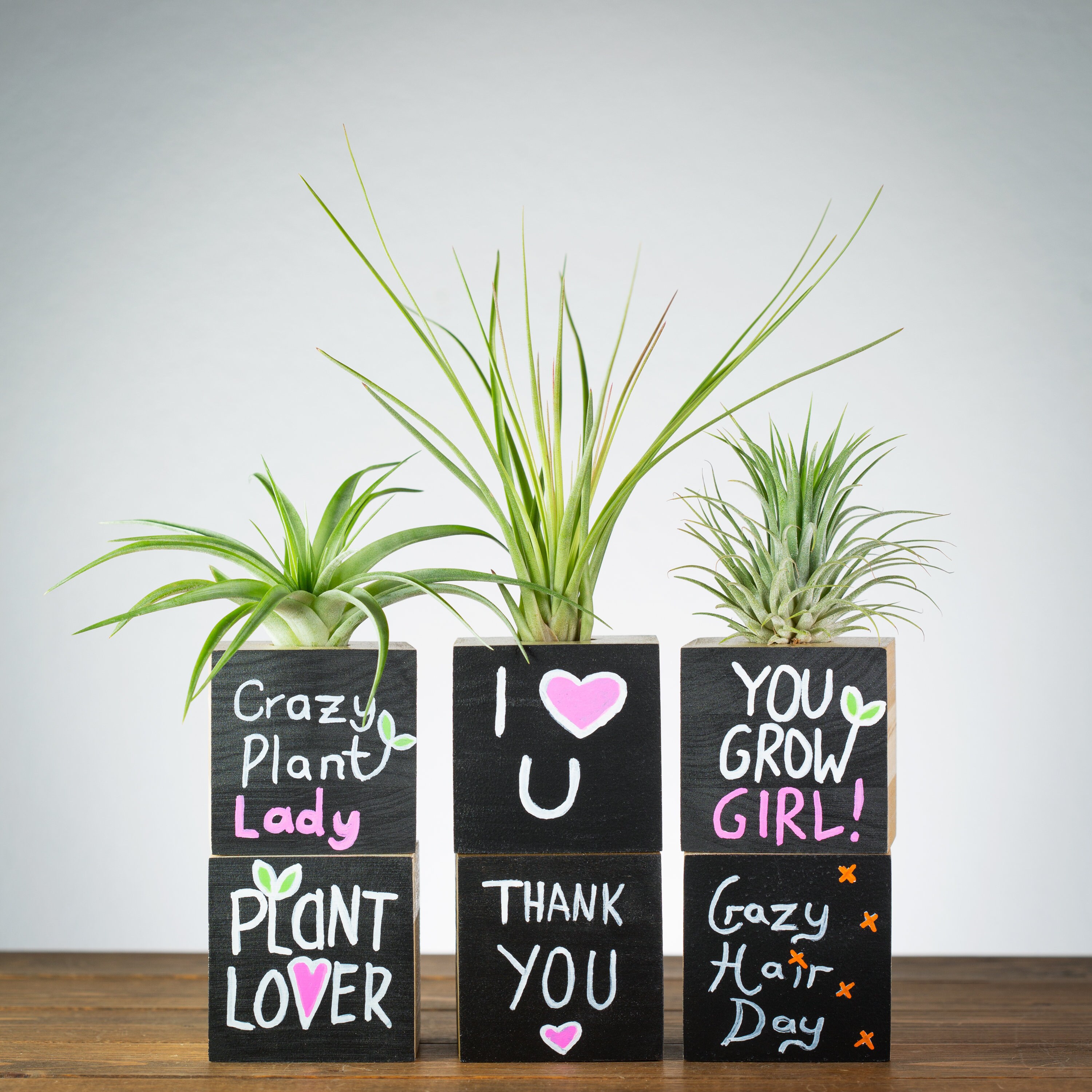 images Mothers Day Flower Pot Sayings etsy