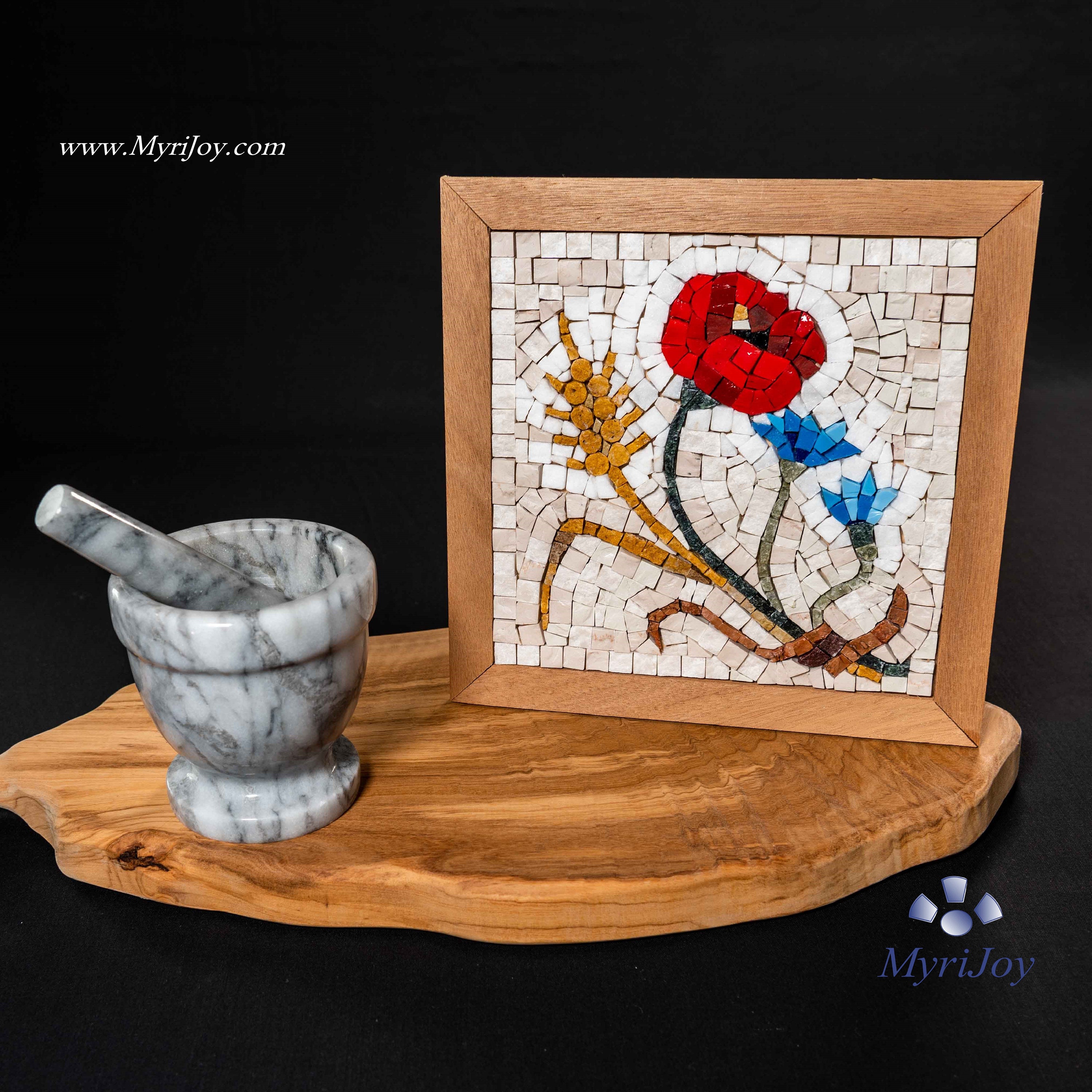 DIY Mosaic craft kit for adults Summer Mosaic art project Etsy