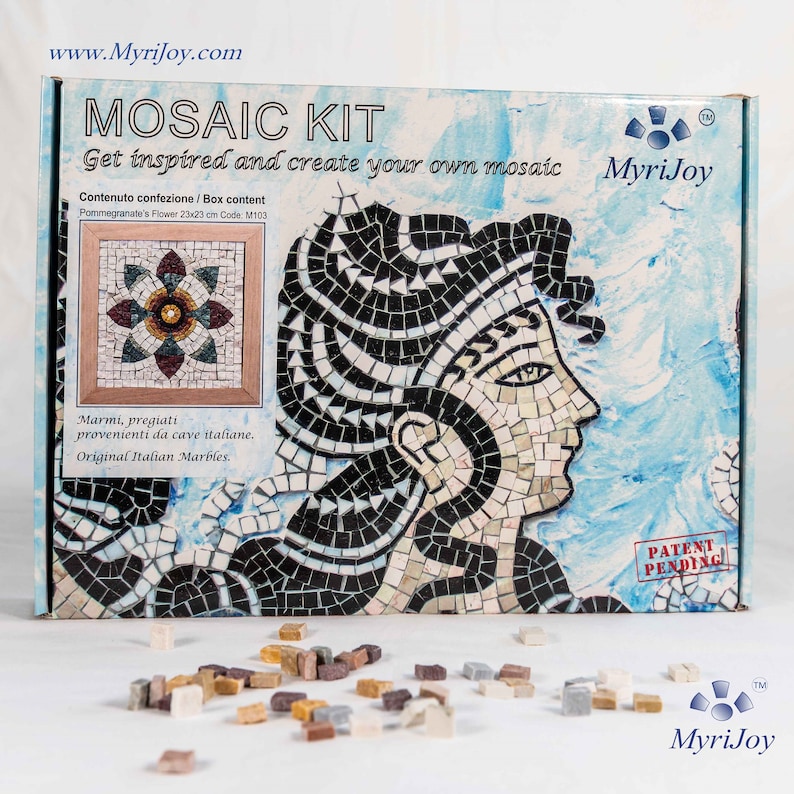 DIY Roman Mosaics Kit for Adults Pomegranate Flower Marble Etsy Canada