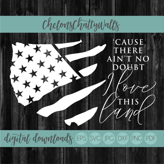 God Bless America Cat American Flag 4th Of July Cats USA T-Shirt God Bless America Cat American Flag 4th Of July Cats USA T-Shirt