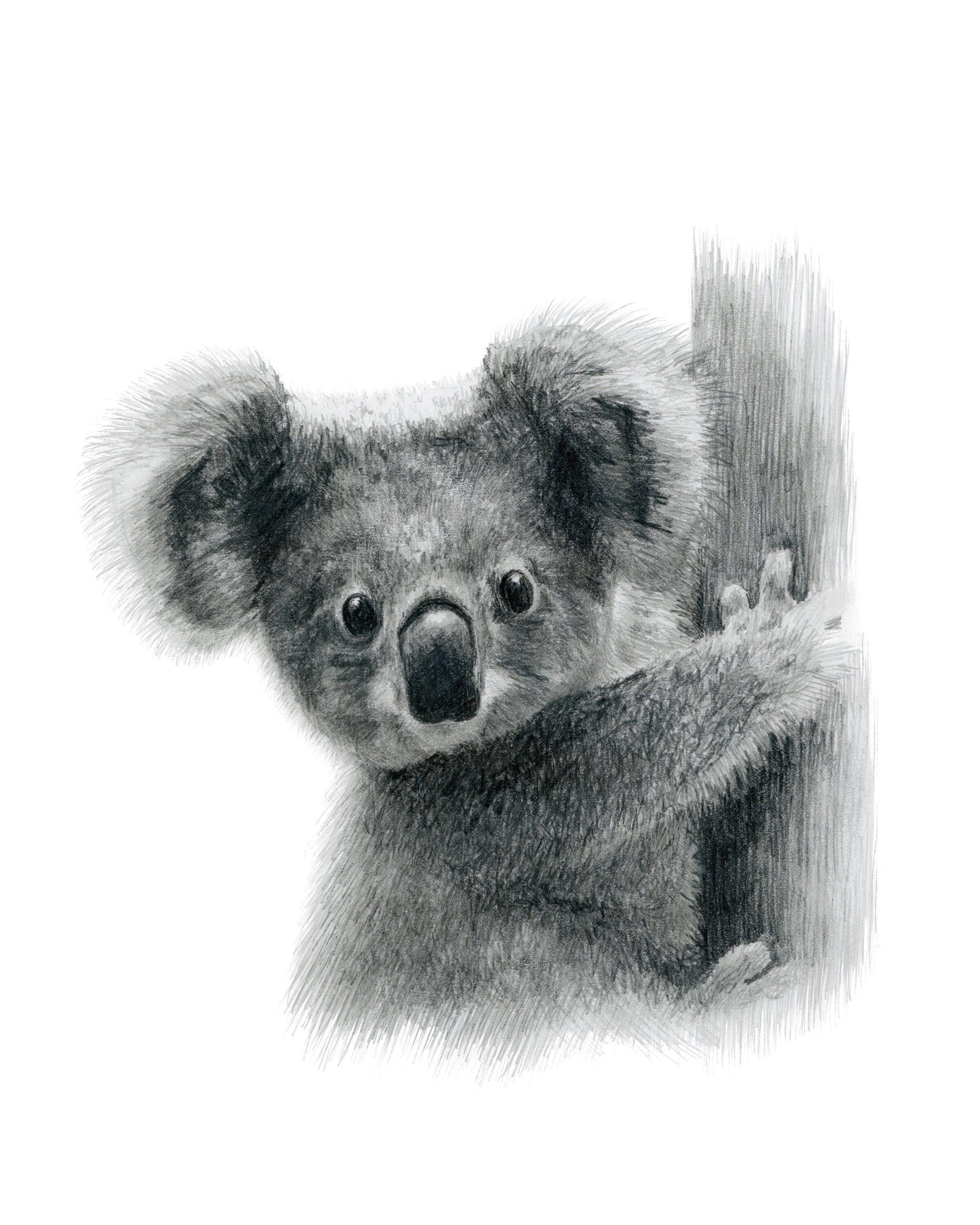 Koala print / Black and white nursery art / Australian animal Etsy
