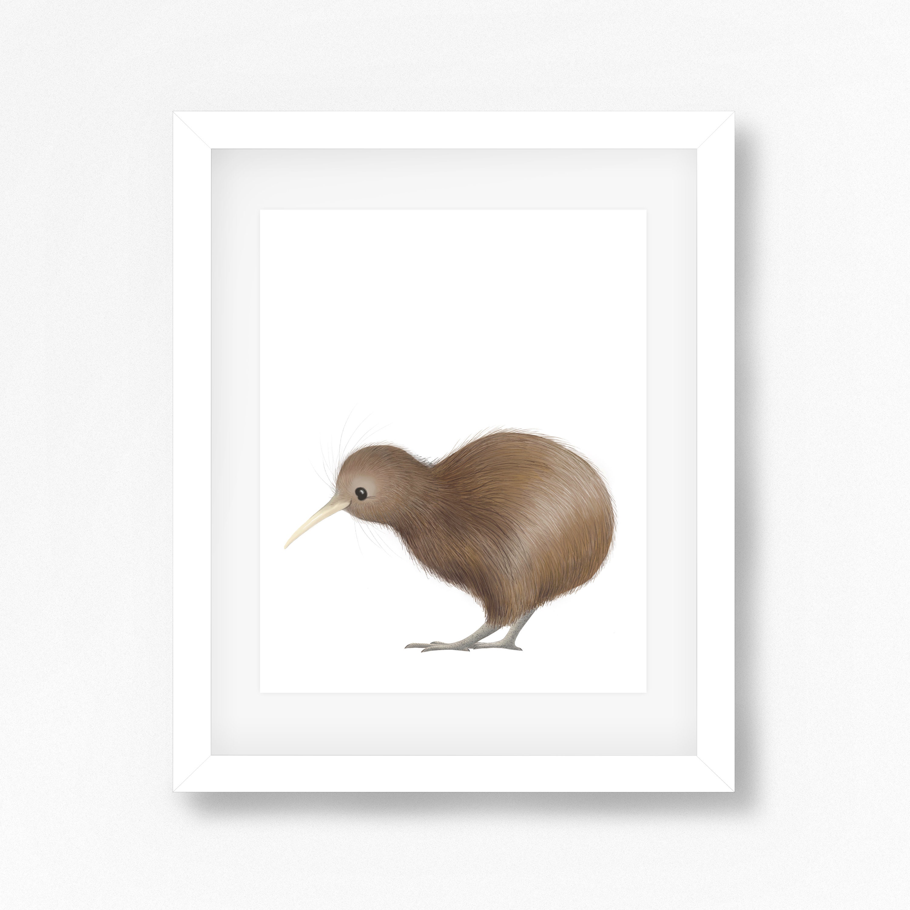 Kiwi Print / New Zealand Animals / Bird Art / Nursery Print Etsy