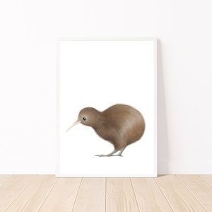 Kiwi Bird Printable Wall Art / New Zealand Animal Print