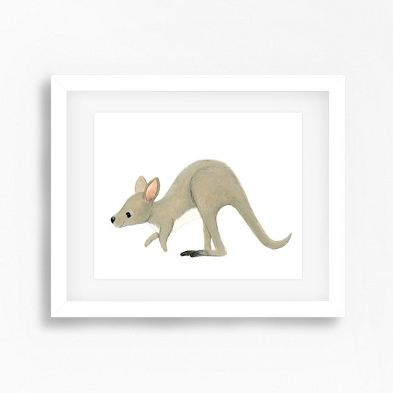 kangaroo nursery