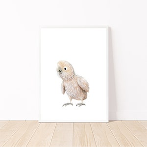 Baby Bird Printable Wall Art / Cockatoo Chick Print / Australian Animal Art