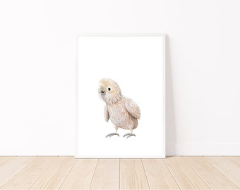May include: A watercolour illustration of a white cockatoo with a pink beak and pink feet. The cockatoo is looking to the left of the image.