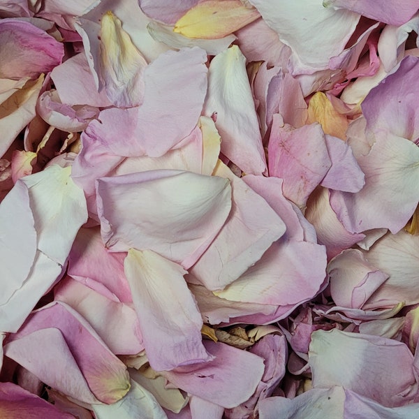 10litres Freeze Dried Rose Petals - weddings / events