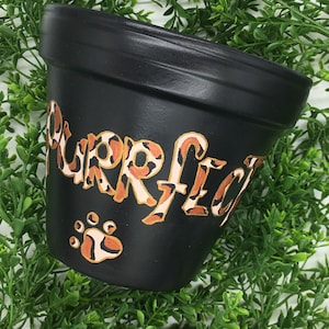 May include: Black terracotta flower pot with the word "purrfect" written in gold with a leopard print pattern. A paw print is below the word.