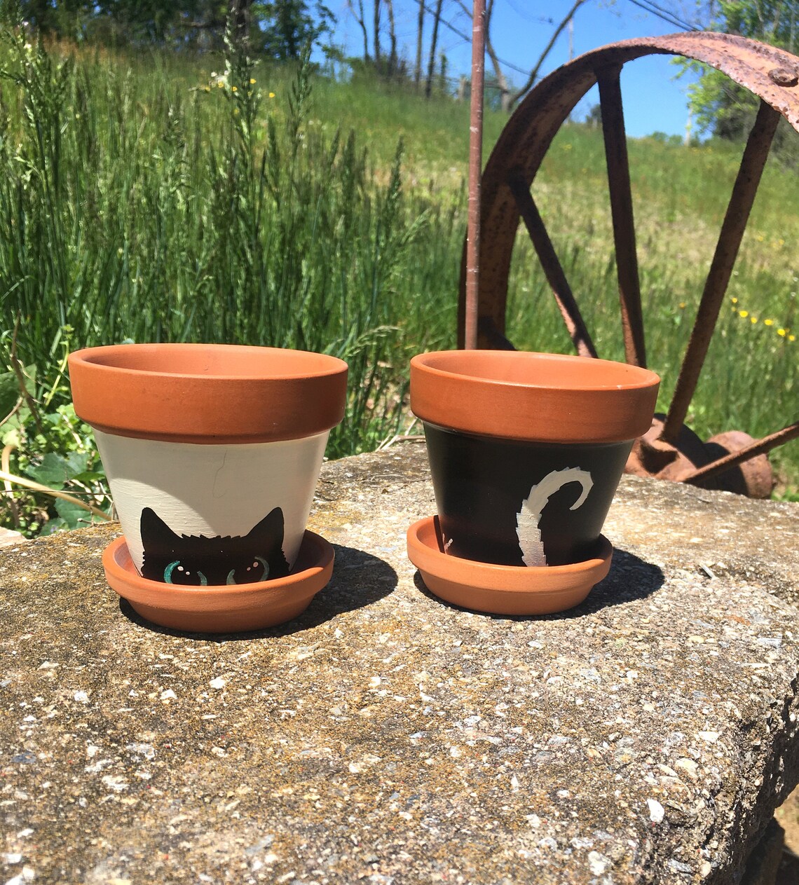 Hand Painted Set of 2 Mini Cat Planters Black Cat White Cat Paw Prints