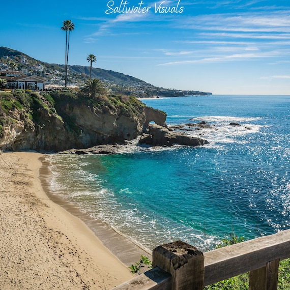 Are Dogs Allowed On Treasure Island Beach