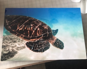 Sea Turtle Honu from Oahu Hawaii Photo Print