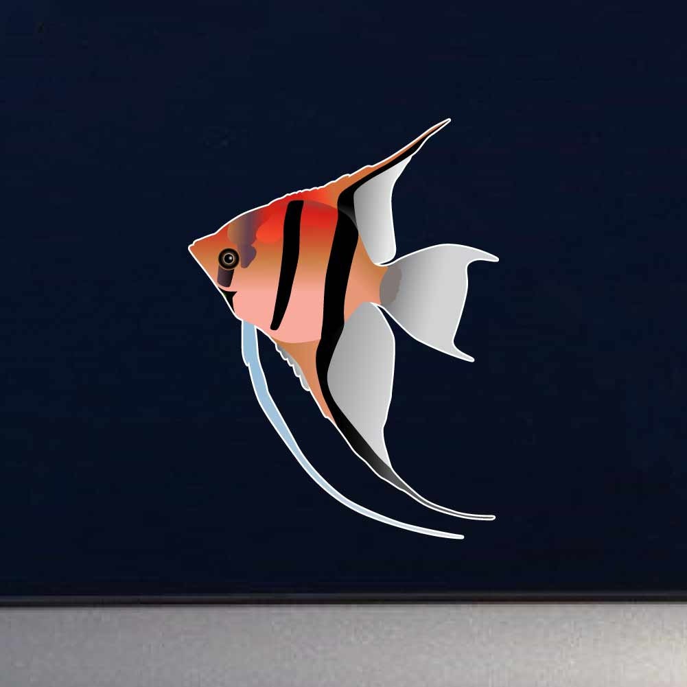 Buy Altum Angelfish Pterophyllum Altum Aquarim Fish Indoor Online in India - Etsy Buy Altum Angelfish Pterophyllum Altum Aquarim Fish Indoor Online in India - Etsy
