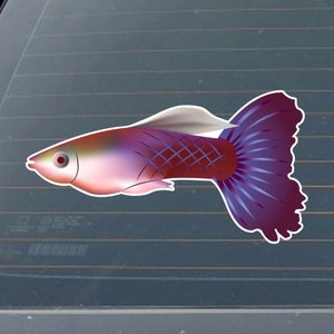 May include: A vibrant purple and pink guppy fish with a long, flowing tail fin. The fish is depicted in a cartoon style and has a red eye.
