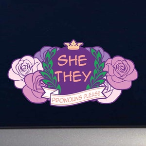 She They Gender Pronouns Please Full Color Decal