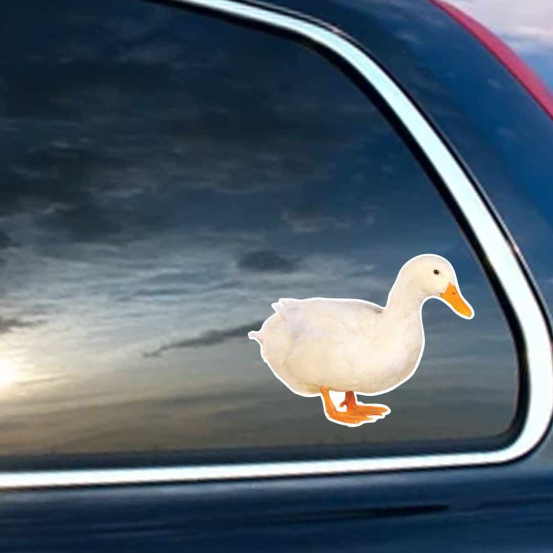 Beautiful Pekin Duck - Full Color Vinyl Decal OR Static Window Cling - Etsy